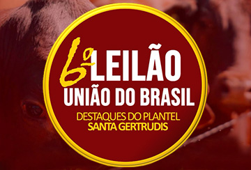 6º LEILÃO UNIÃO DO BRASIL